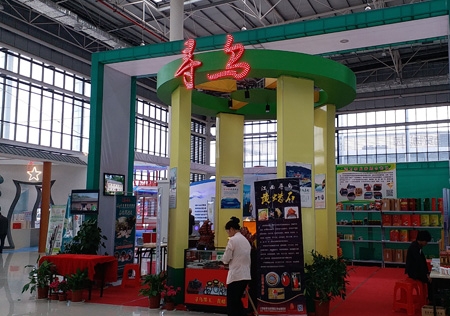 &#122;&#111;&#116;&#121;&#20013;&#27431;